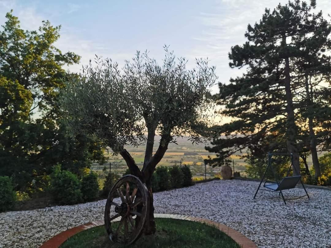 Casina Dei Sogni Villa Arezzo Buitenkant foto