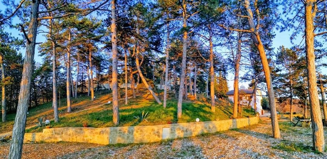 Casina Dei Sogni Villa Arezzo Buitenkant foto