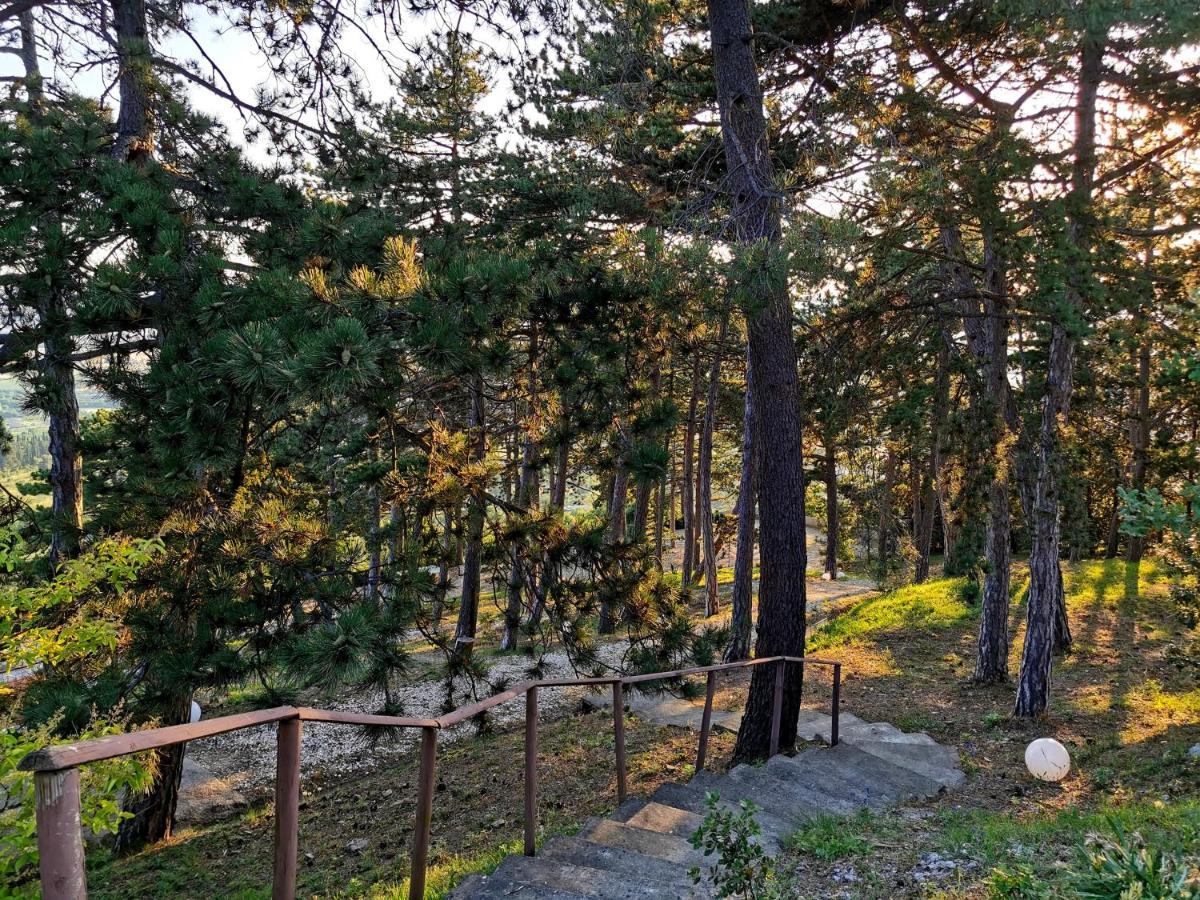 Casina Dei Sogni Villa Arezzo Buitenkant foto